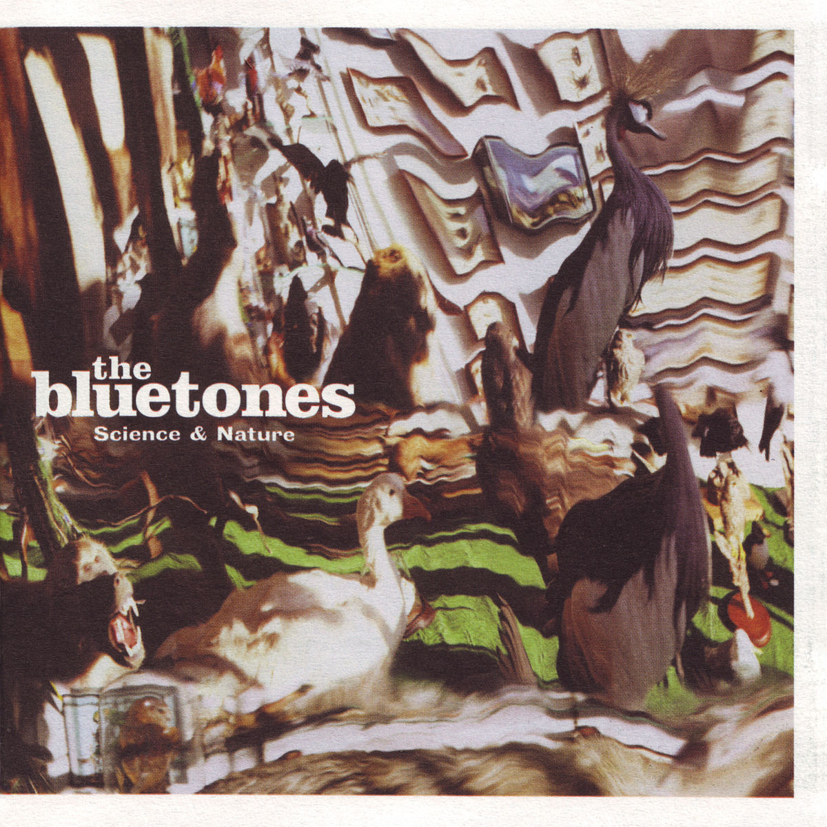 洋楽 the bluetones 6CD Amazon.co.jp: Bluetones: ミュージック
