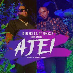 Cover of Ajei