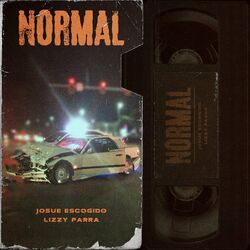 Cover of Normal