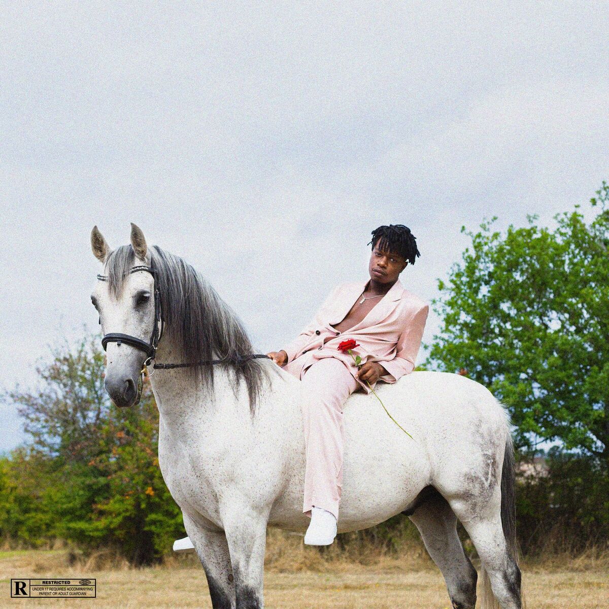 Album cover of Coucou c'est encore moi