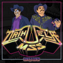 Cover of Cochiloco