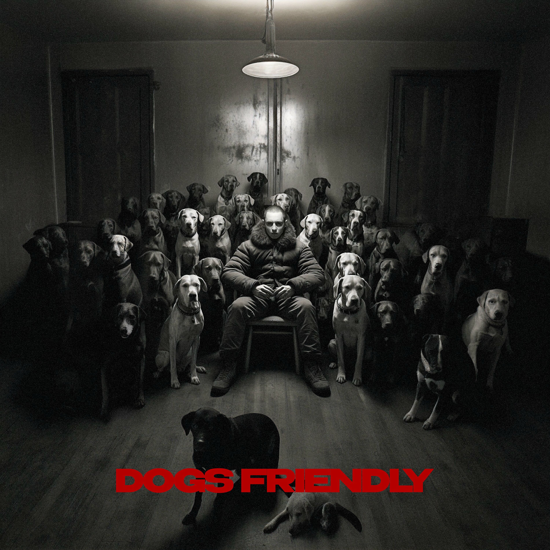 Album cover of DOGS FRIENDLY