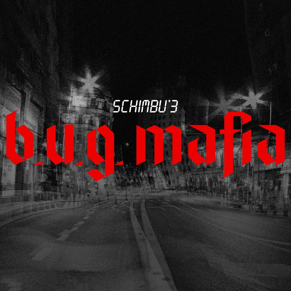 Picture of Schimbu' 3