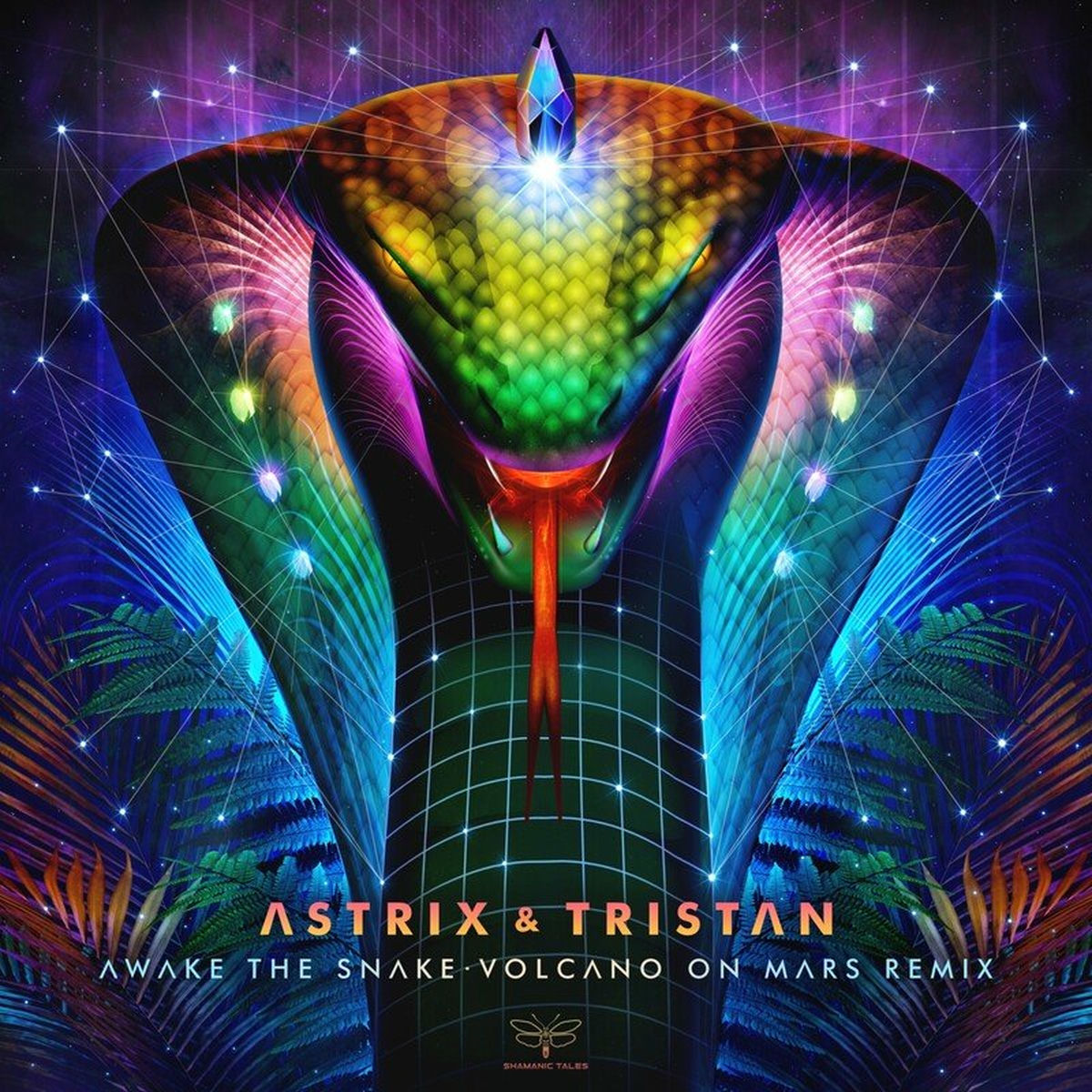 Album cover of Awake the Snake (Volcano on Mars Remix)