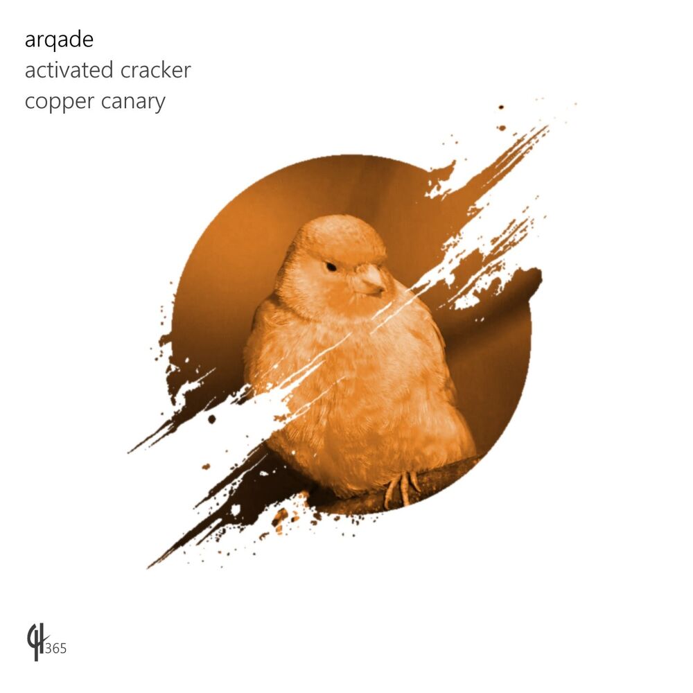 Picture of Copper Canary