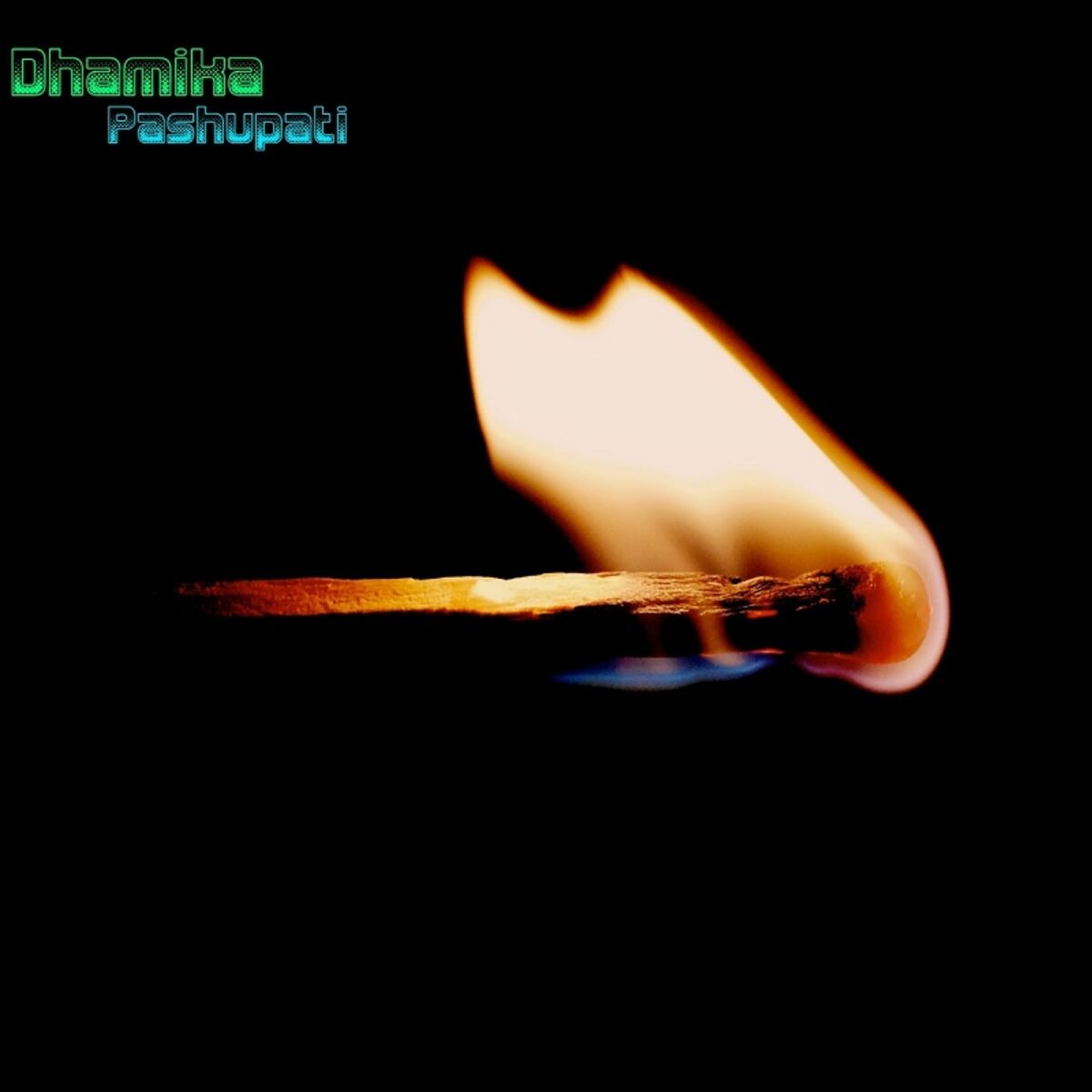 Album cover of Pashupati