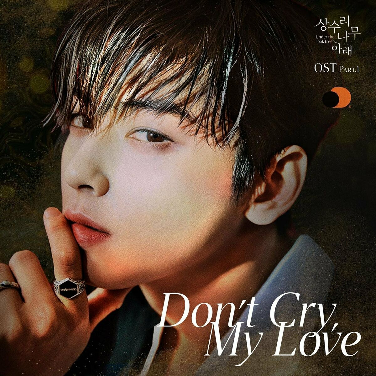 Album cover of Don't Cry, My Love