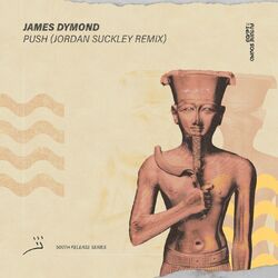 Cover of Push (Jordan Suckley Remix)