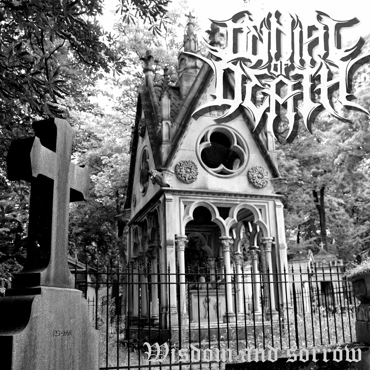 Album cover of Wisdom and Sorrow
