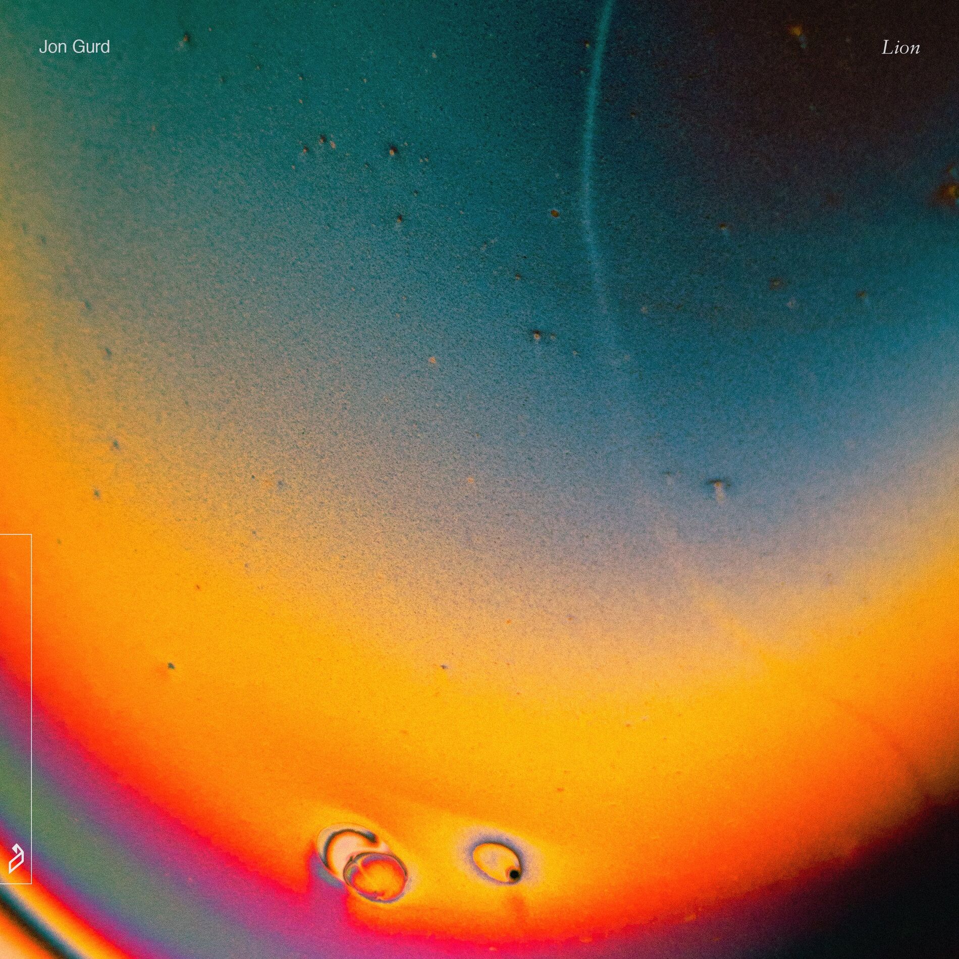 Album cover of Lion
