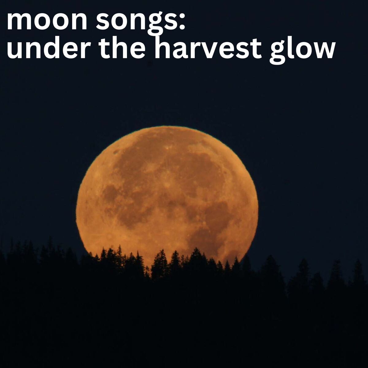Album cover of moon songs: under the harvest glow