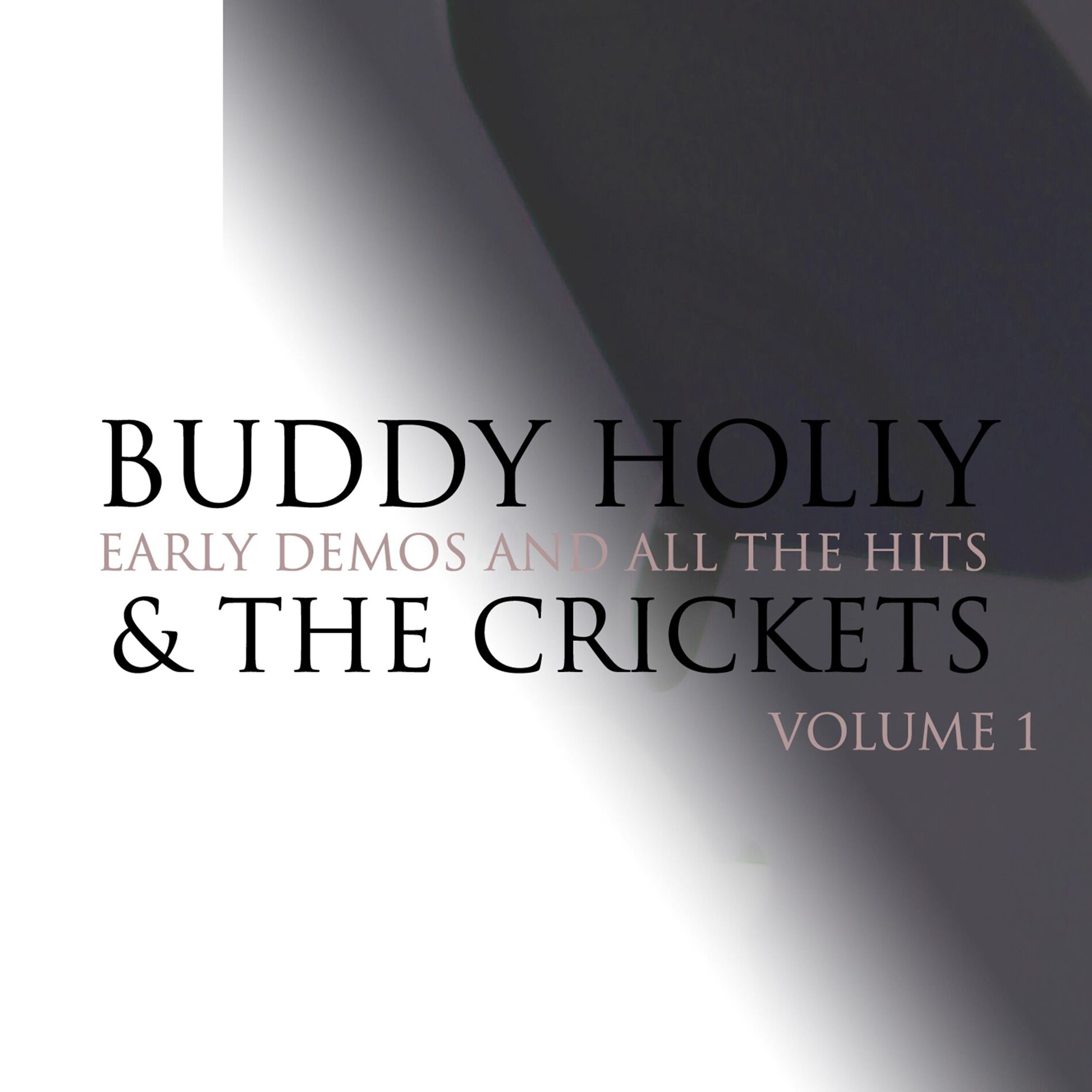 Album cover of Early Demos & All the Hits, Vol. 1