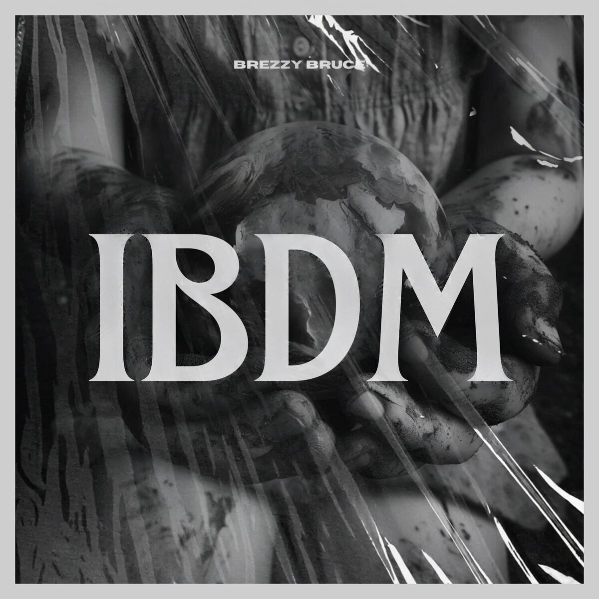 Album cover of IBDM