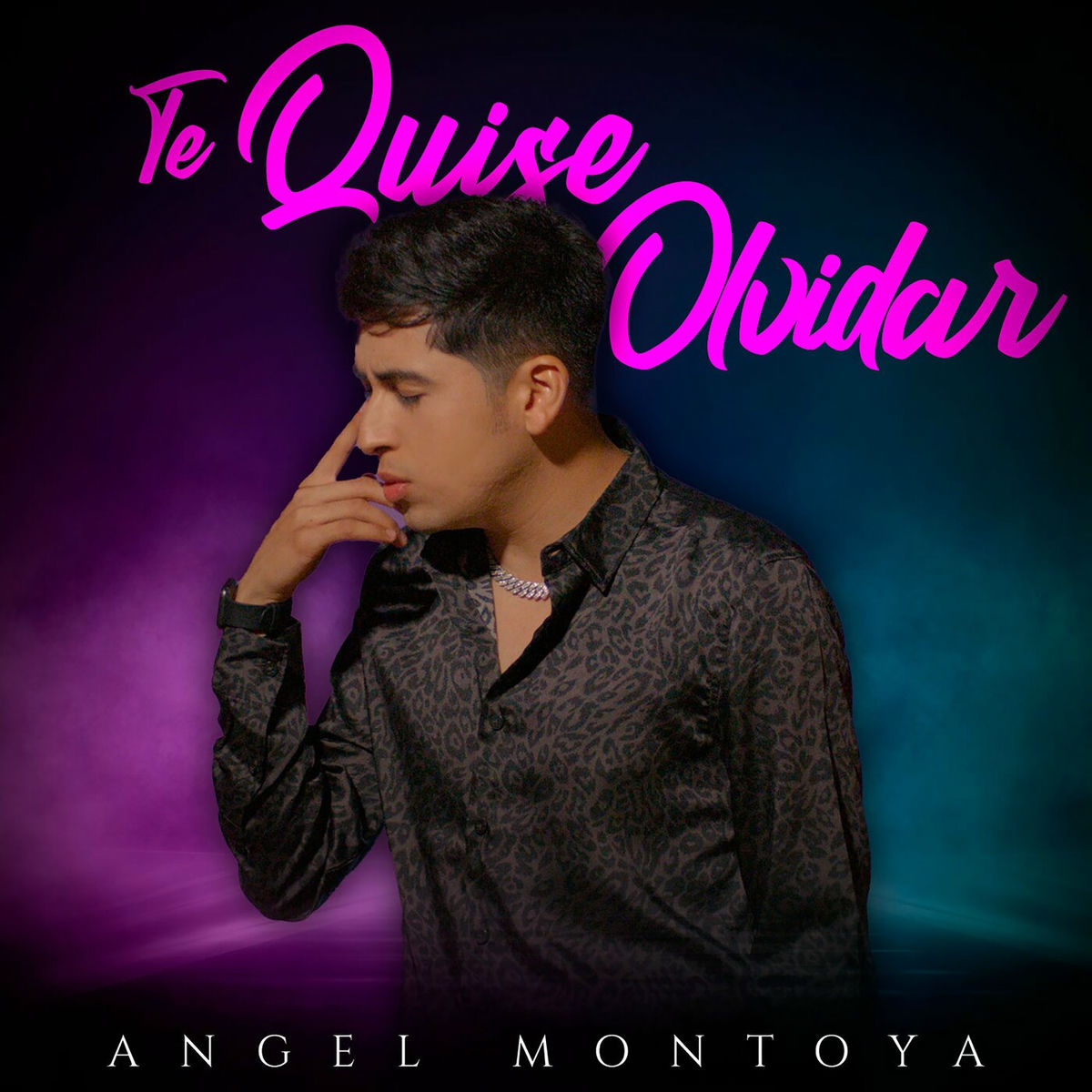 Album cover of Te Quise Olvidar