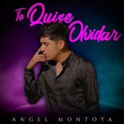 Cover of Te Quise Olvidar