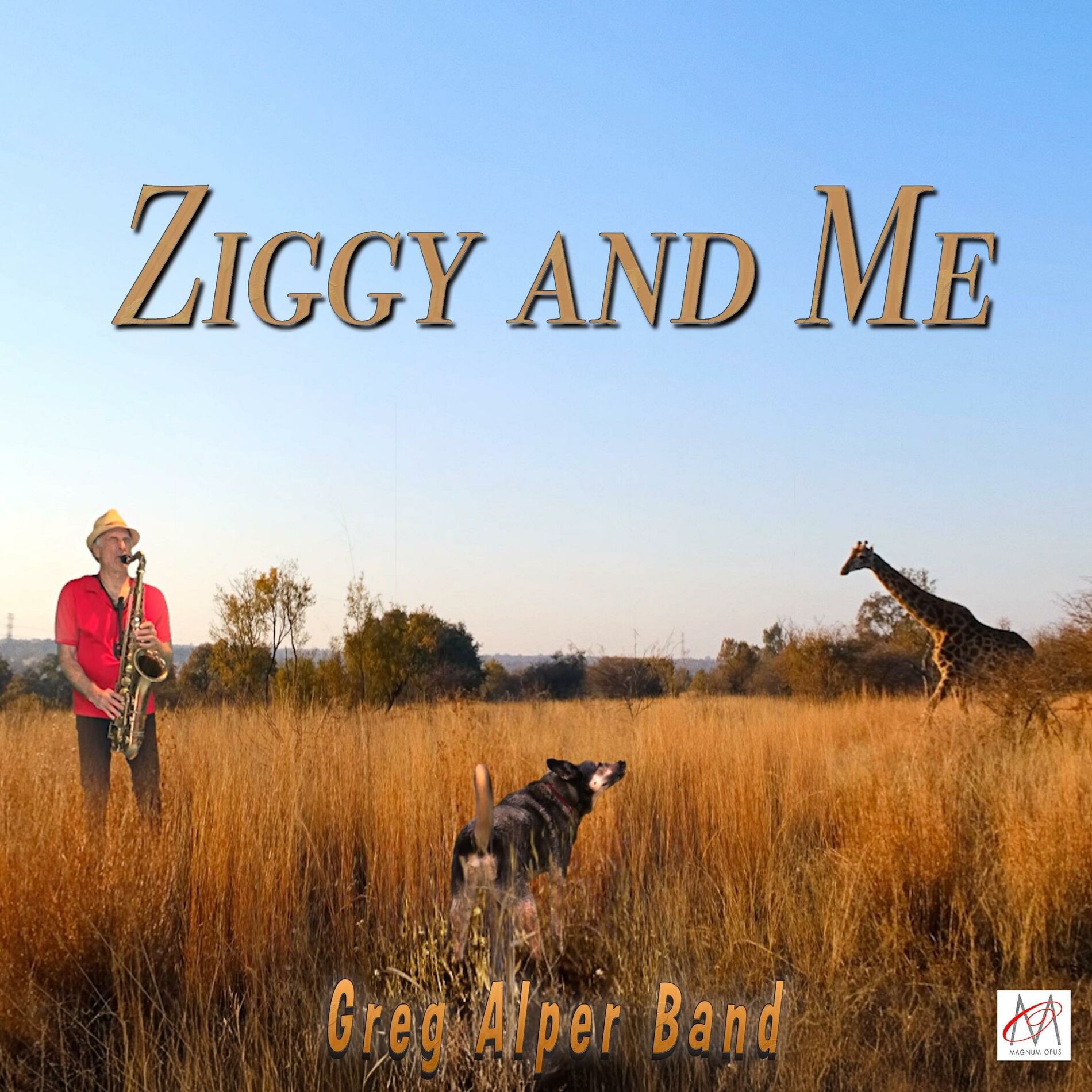 Album cover of Ziggy and Me (feat. Grant Geissman, Bobby Mustol & Bill Markus) [Reimagined Version]
