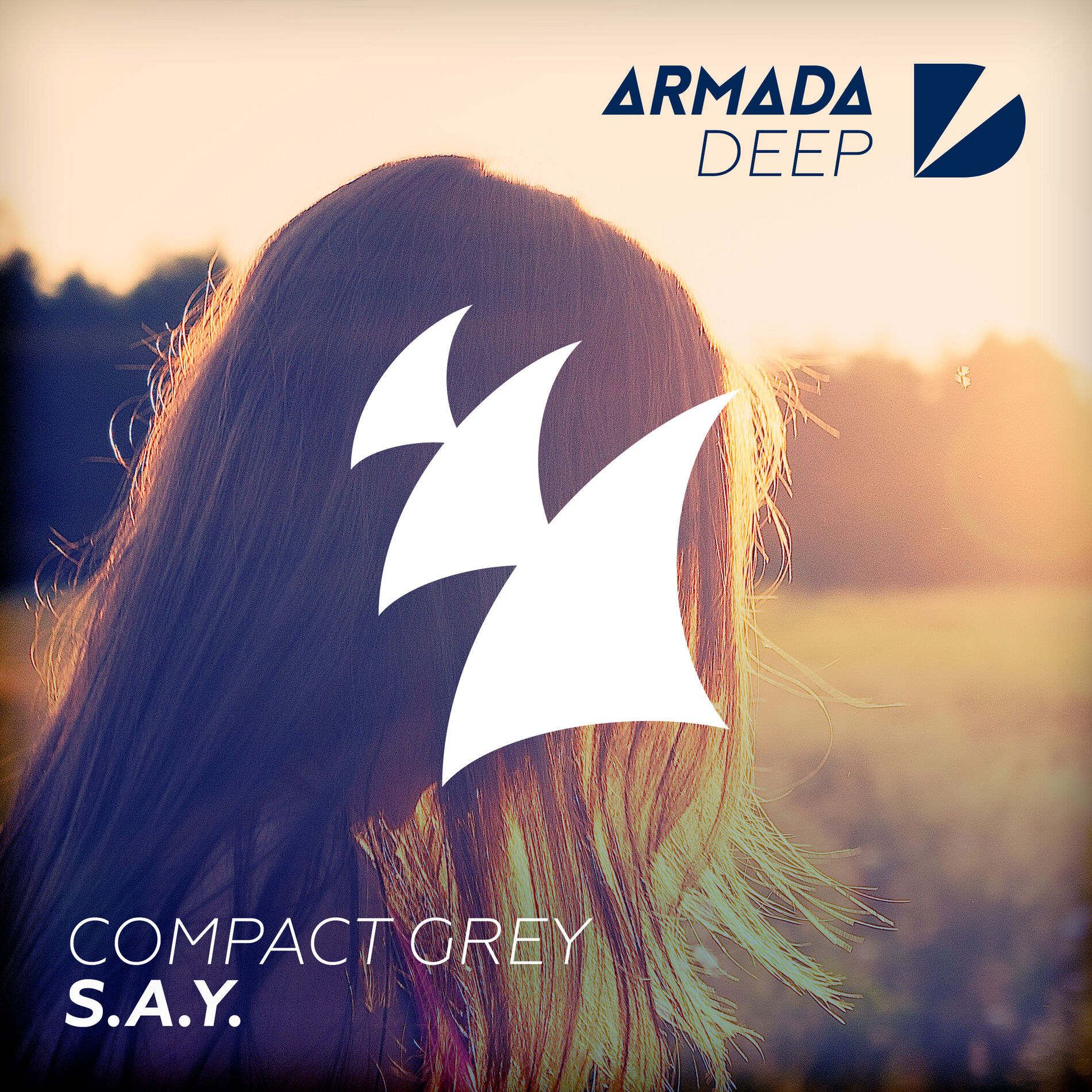 Album cover of S.A.Y.