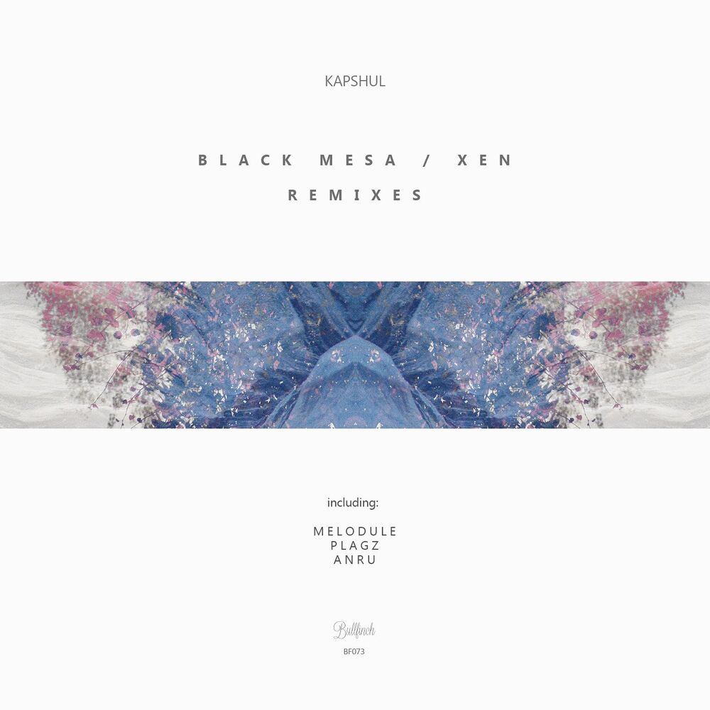 Picture of Black Mesa / Xen Remixes