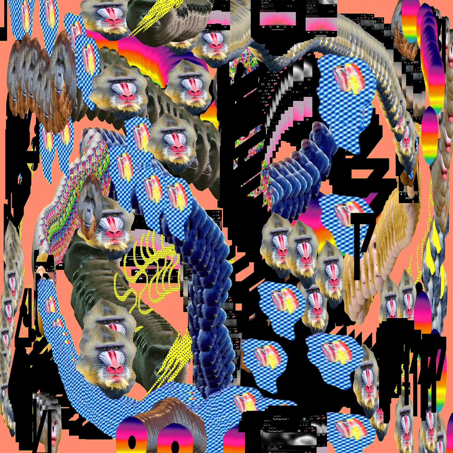 Album cover of Apeland
