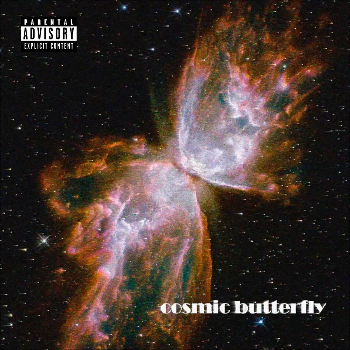 Album cover of COSMIC BUTTERFLY