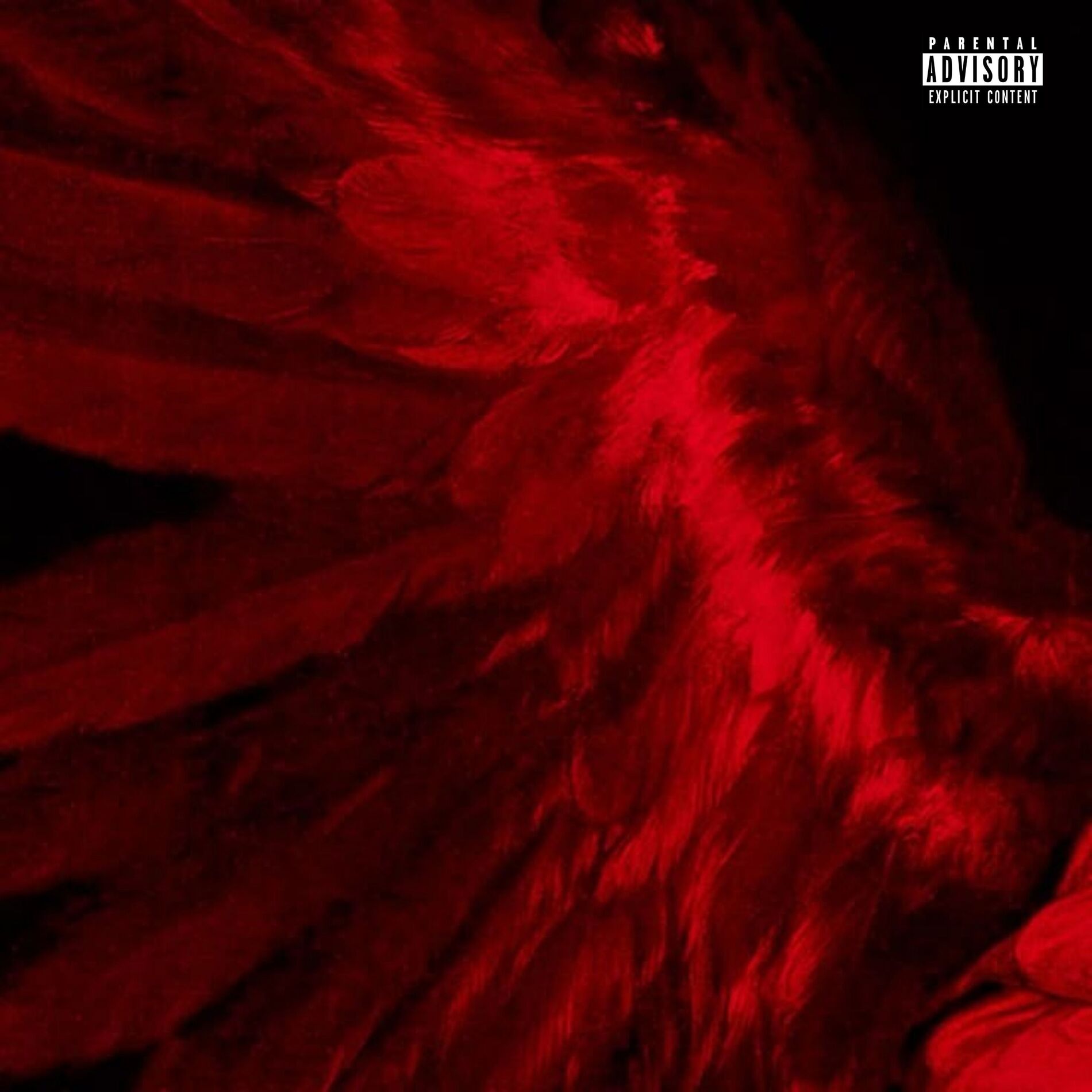 Album cover of Arcanjo Miguel