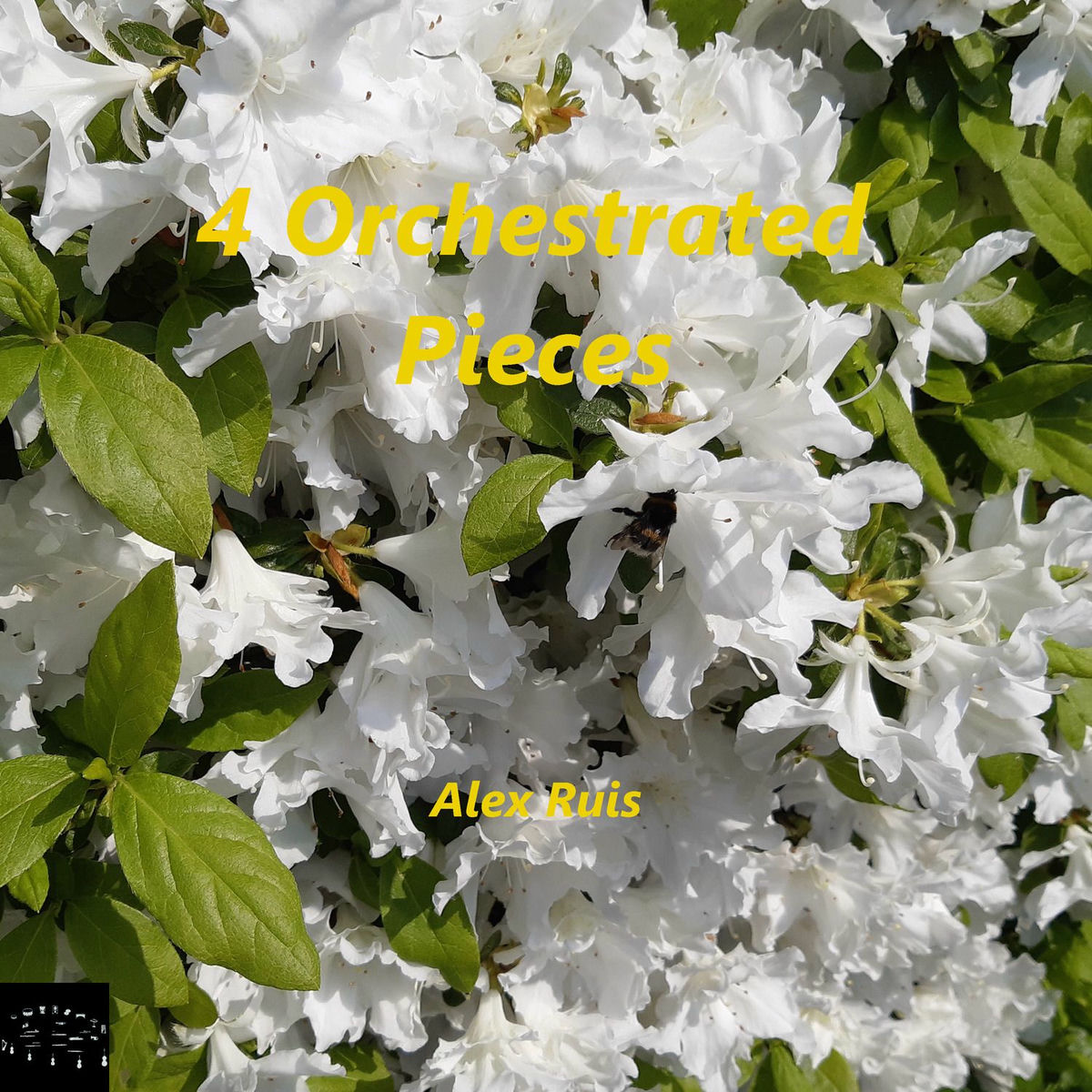 Album cover of 4 Orchestrated Pieces