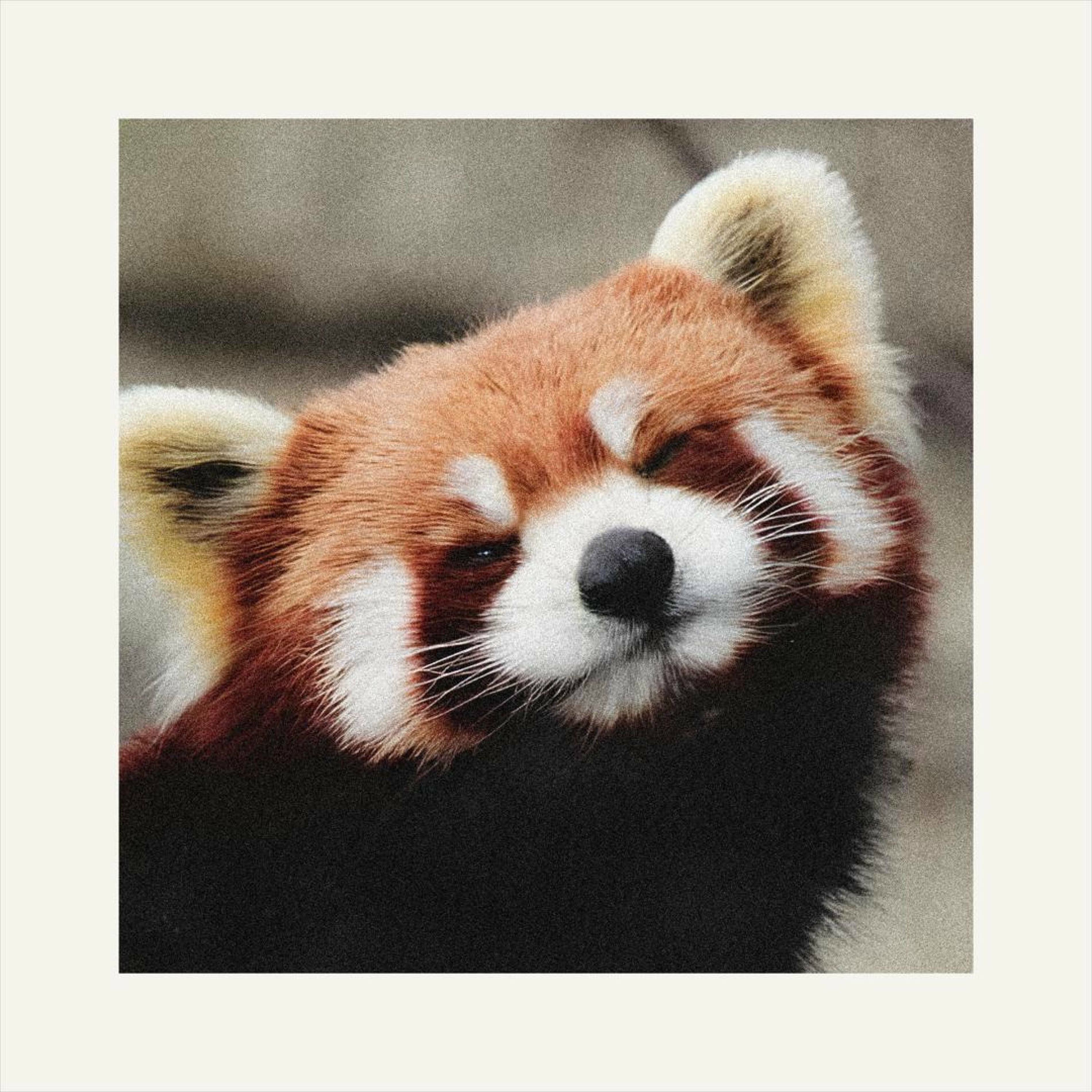 Album cover of so far away