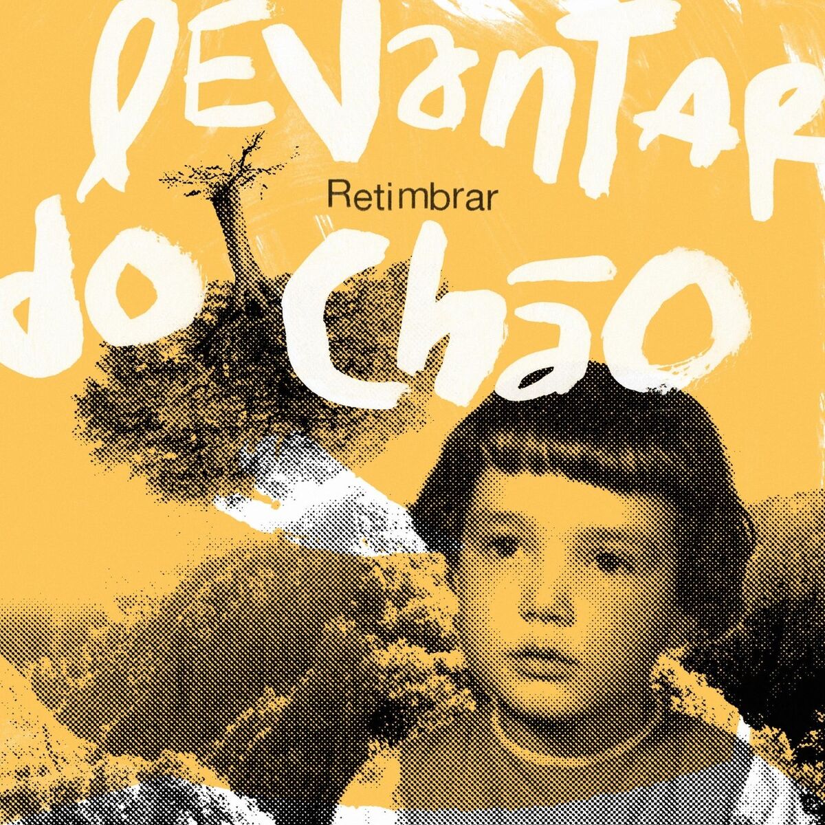 Album cover of Levantar do Chão