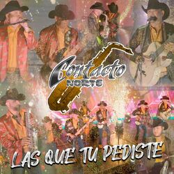Cover of Las Que Tu Pediste