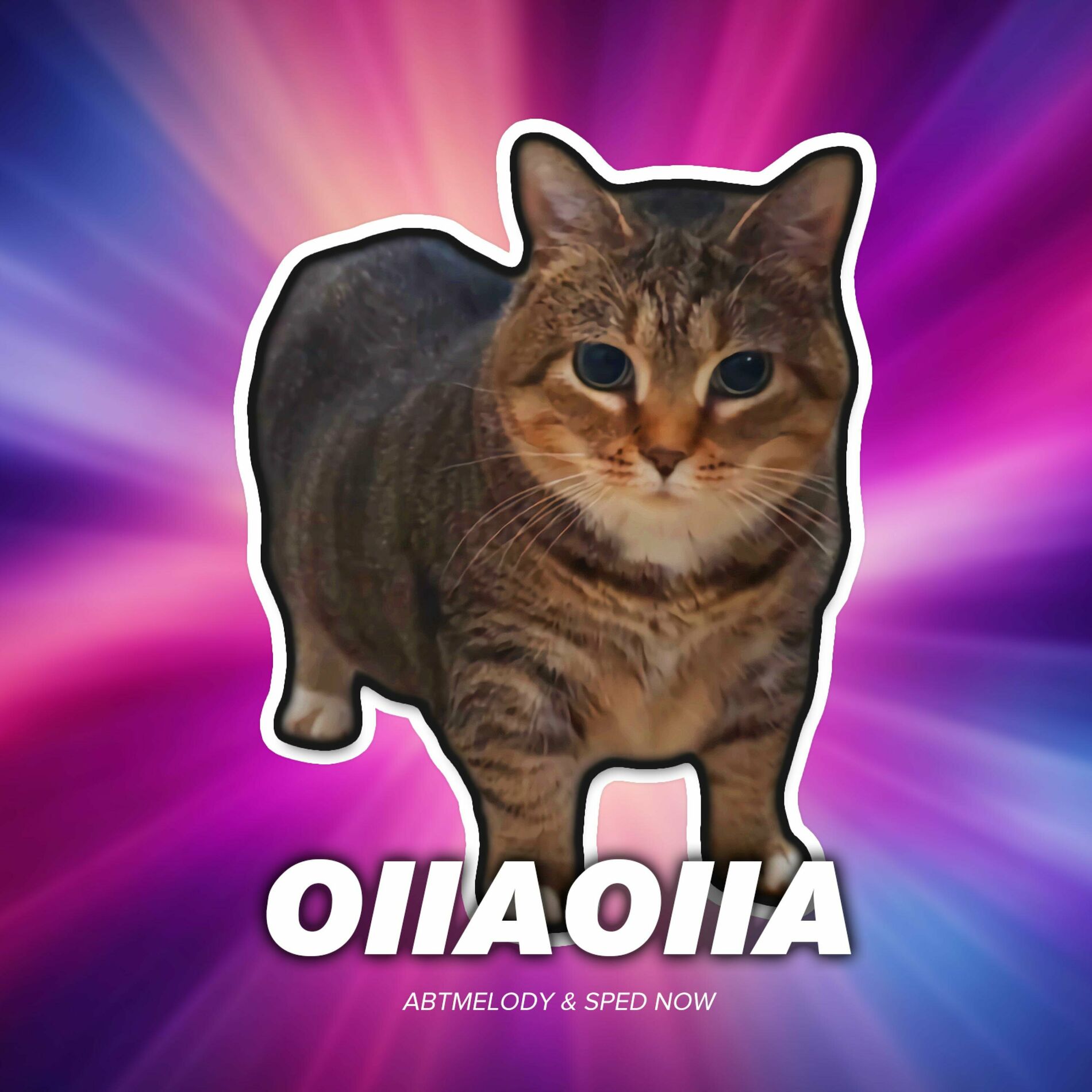 Album cover of OIIAOIIA
