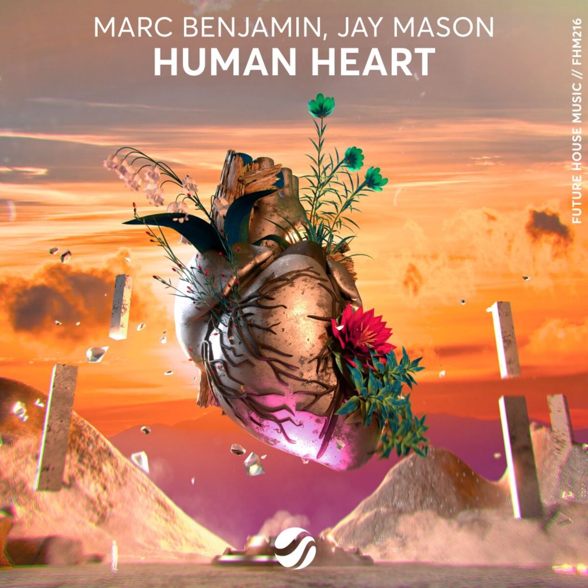 Album cover of Human Heart