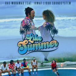 Cover of Like Summer
