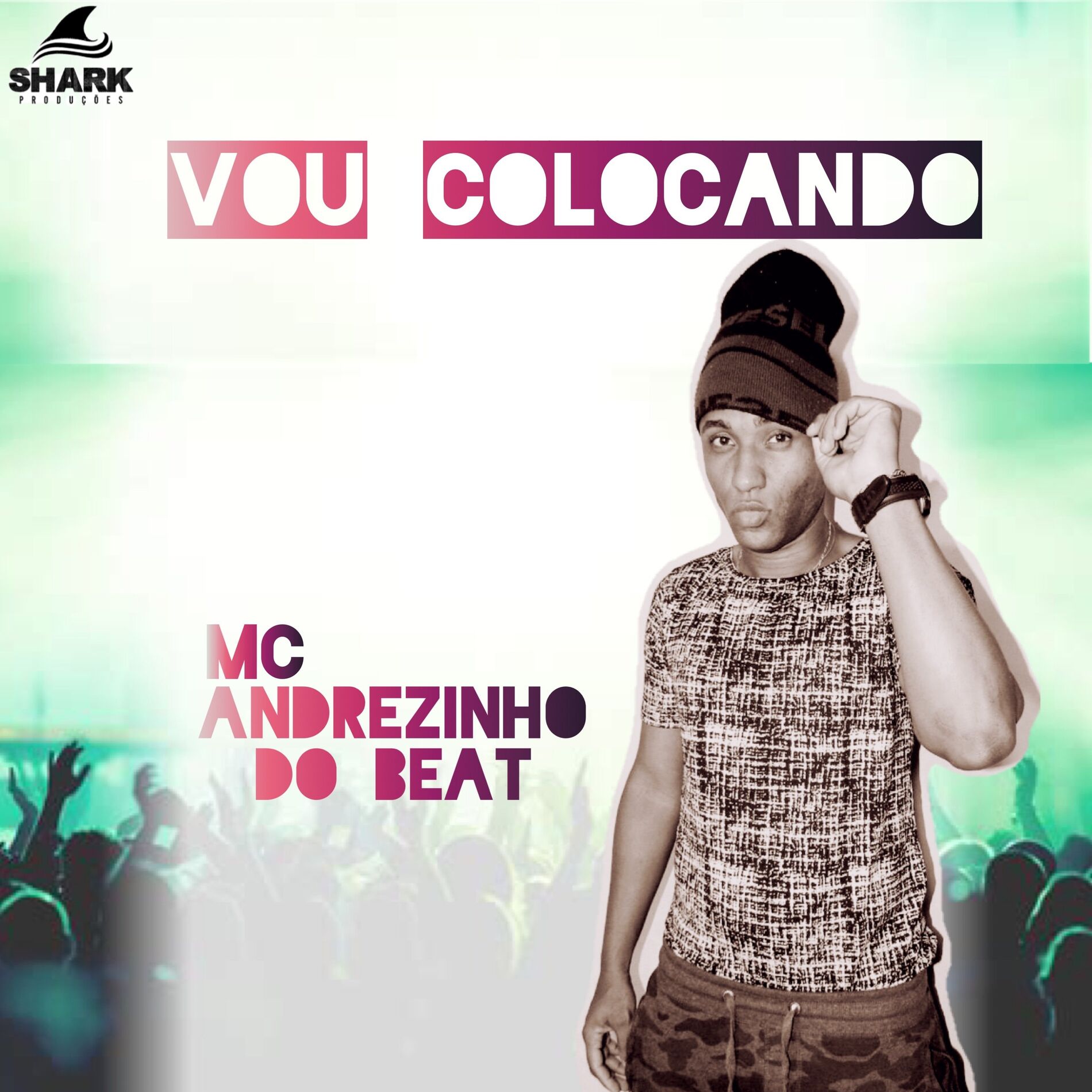 Album cover of Vou Colocando
