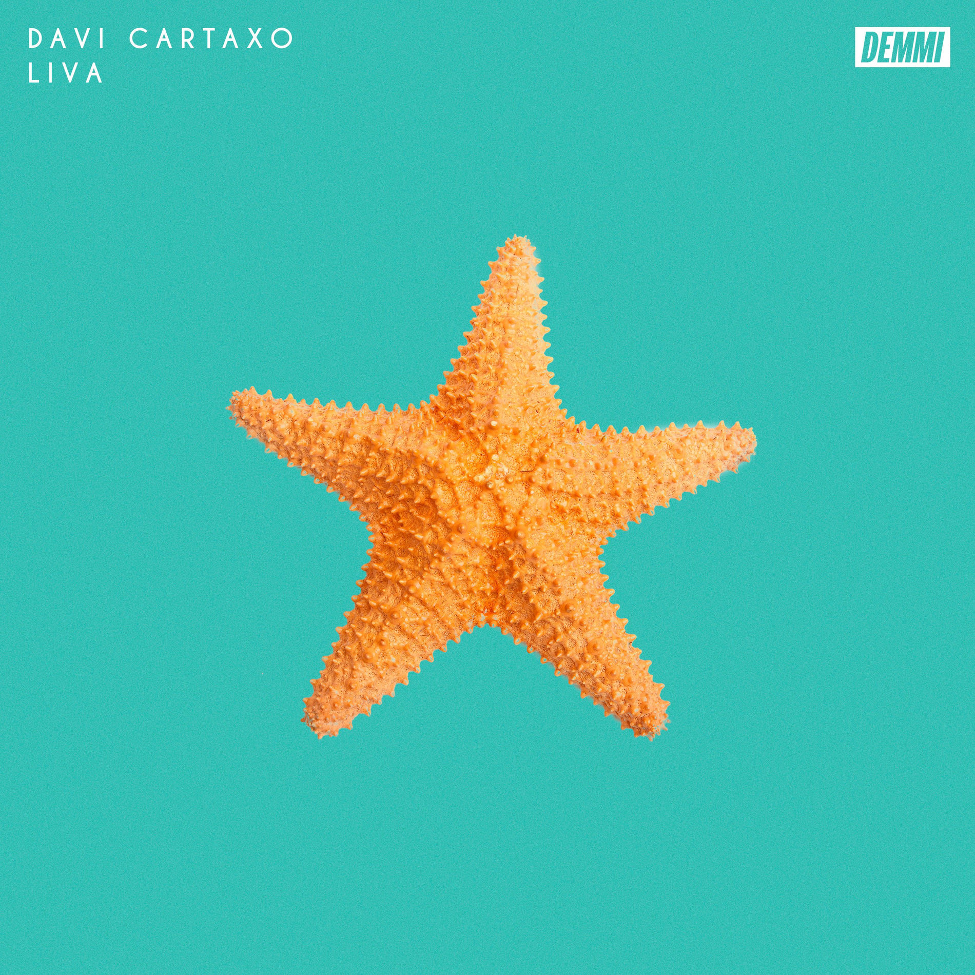 Album cover of Estrela do Mar
