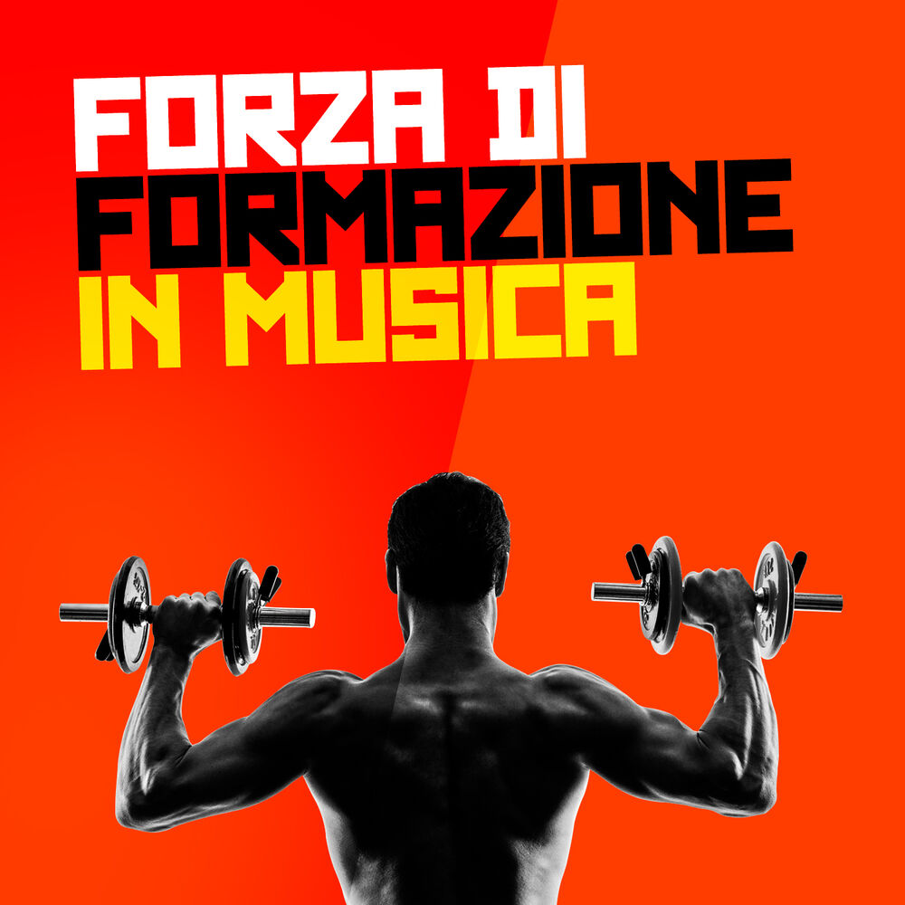Picture of Forza Di Formazione in Musica