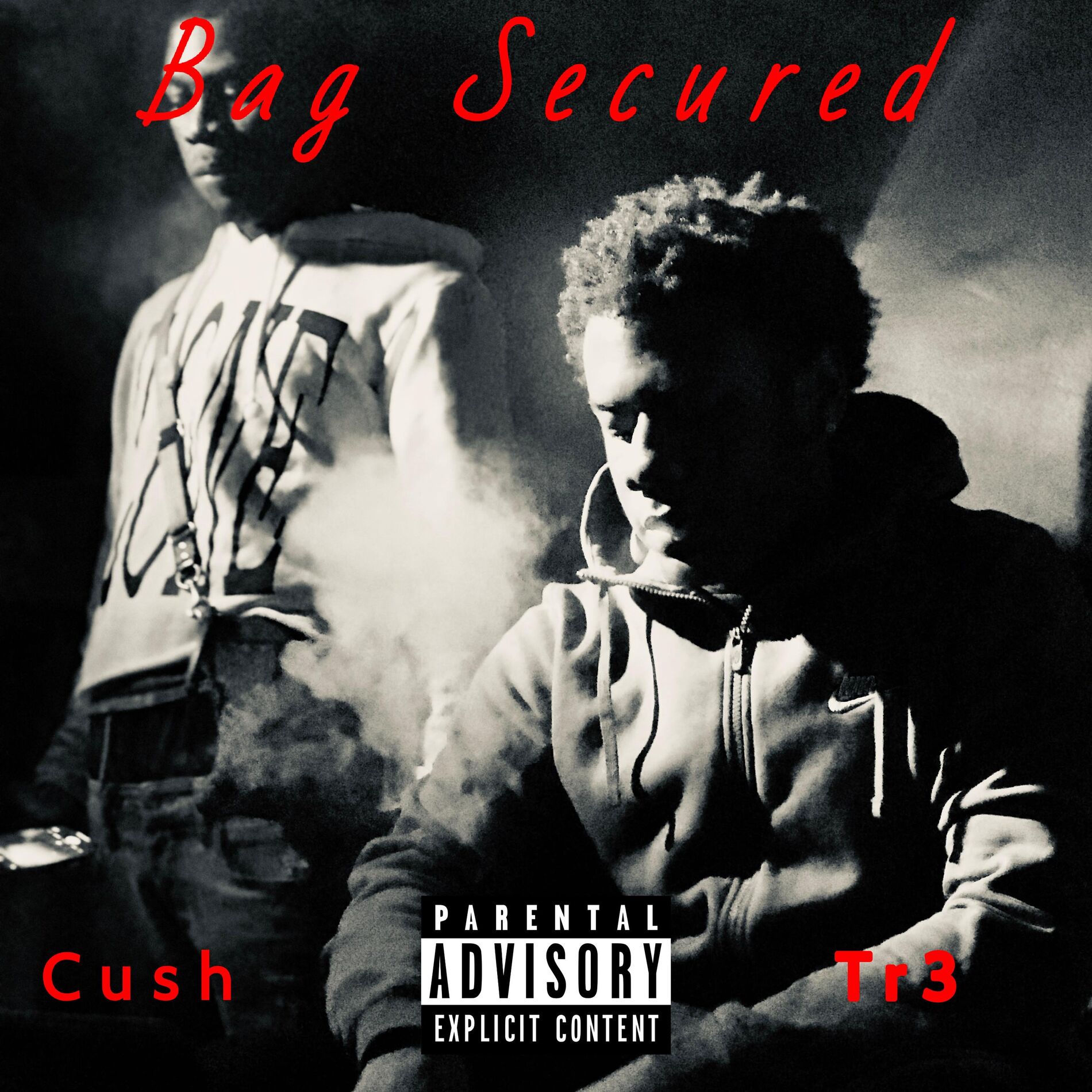 Album cover of Bag Secured