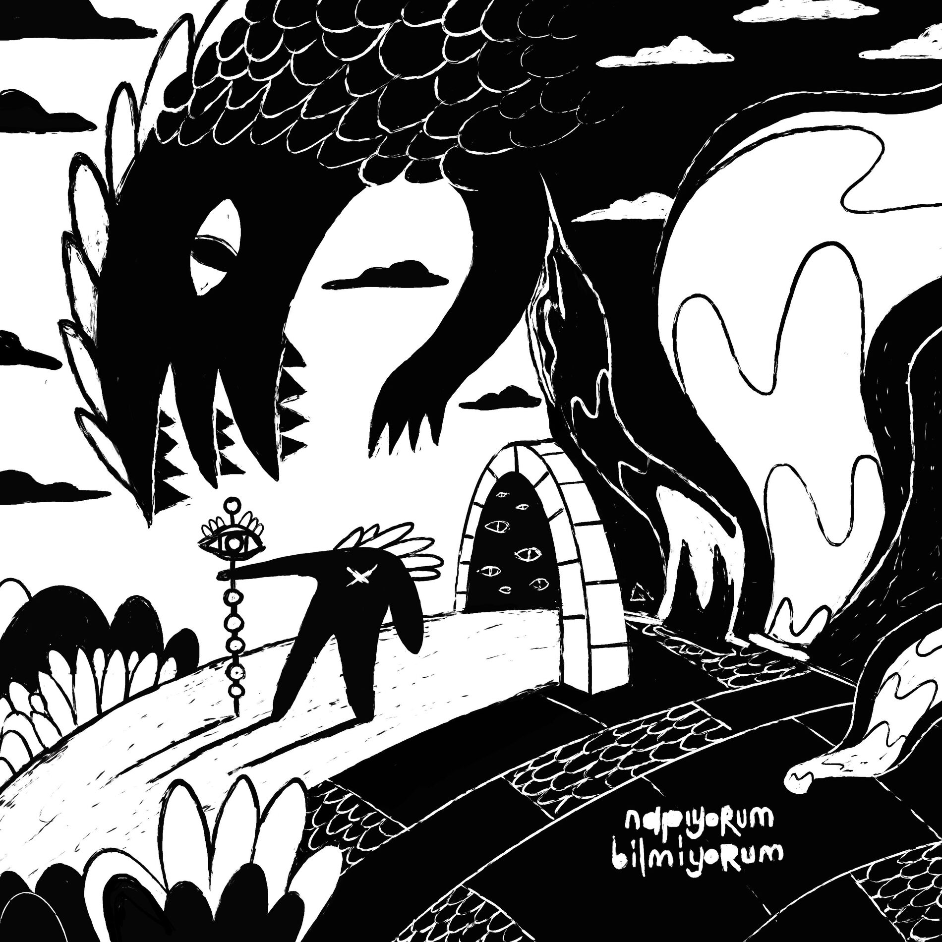 Album cover of Napıyorum Bilmiyorum