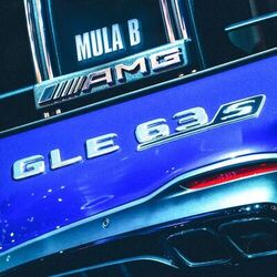 Cover of Gle63s