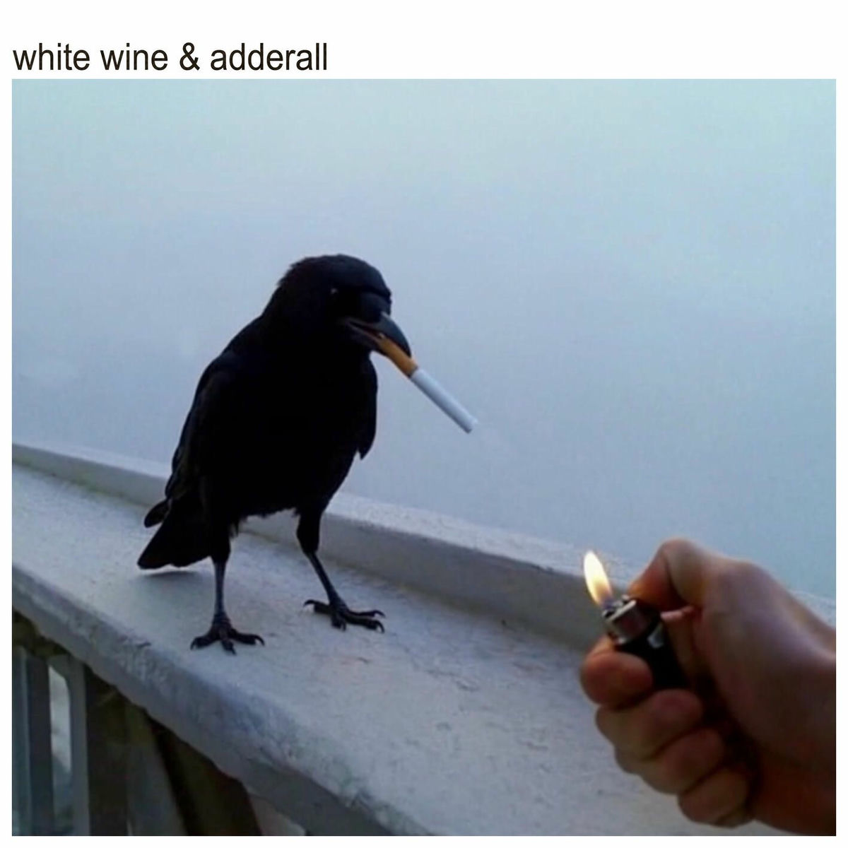Album cover of White Wine & Adderall