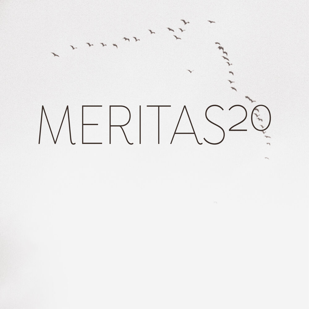 Picture of MERITAS20