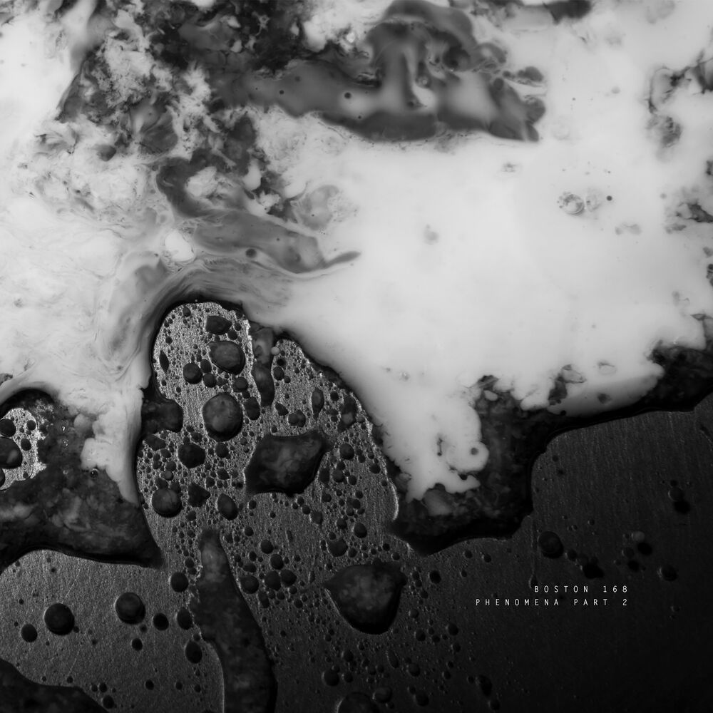 Picture of Phenomena, Pt. 2