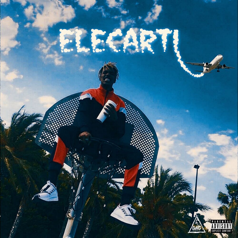 Picture of Elecarti