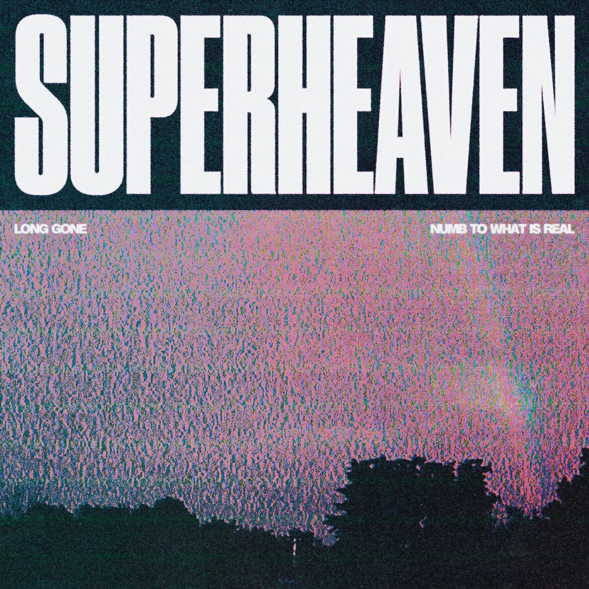 Album cover of Long Gone / Numb To What Is Real