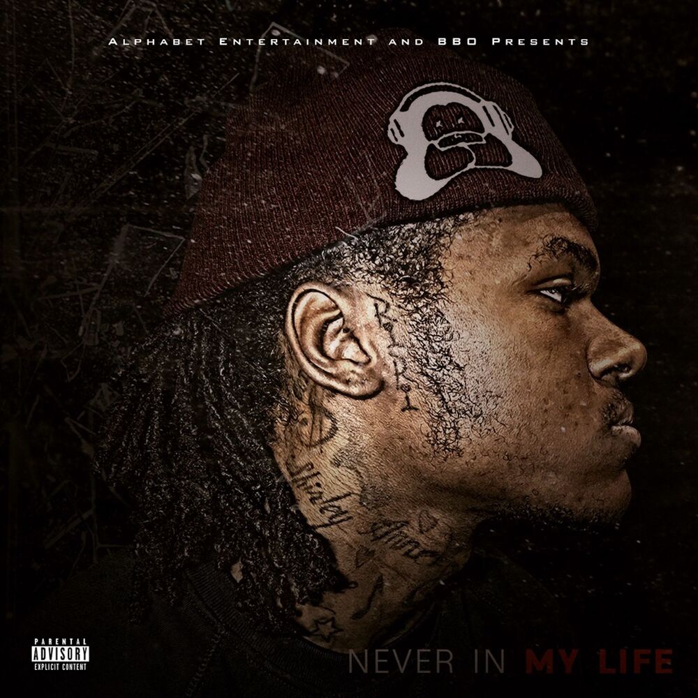 Picture of Never in My Life
