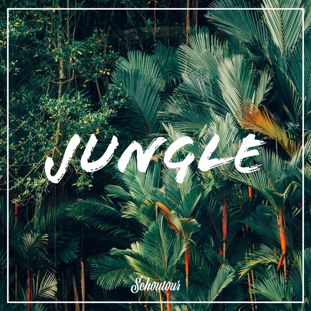 Picture of Jungle