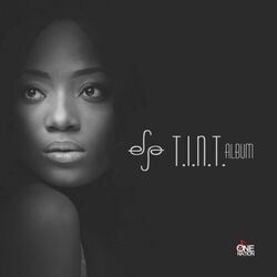 Cover of T.I.N.T