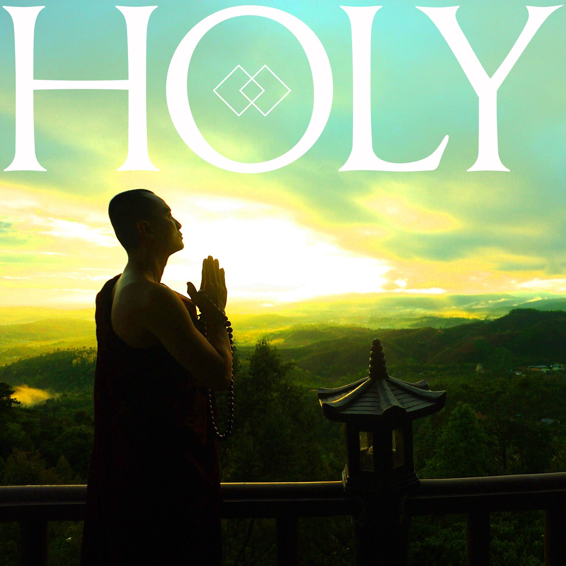 Album cover of Holy