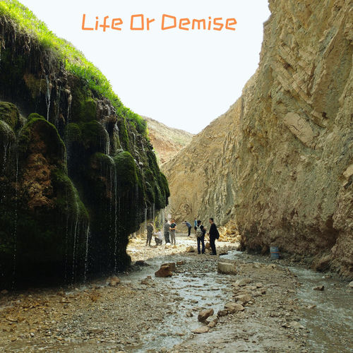 Life or Demise