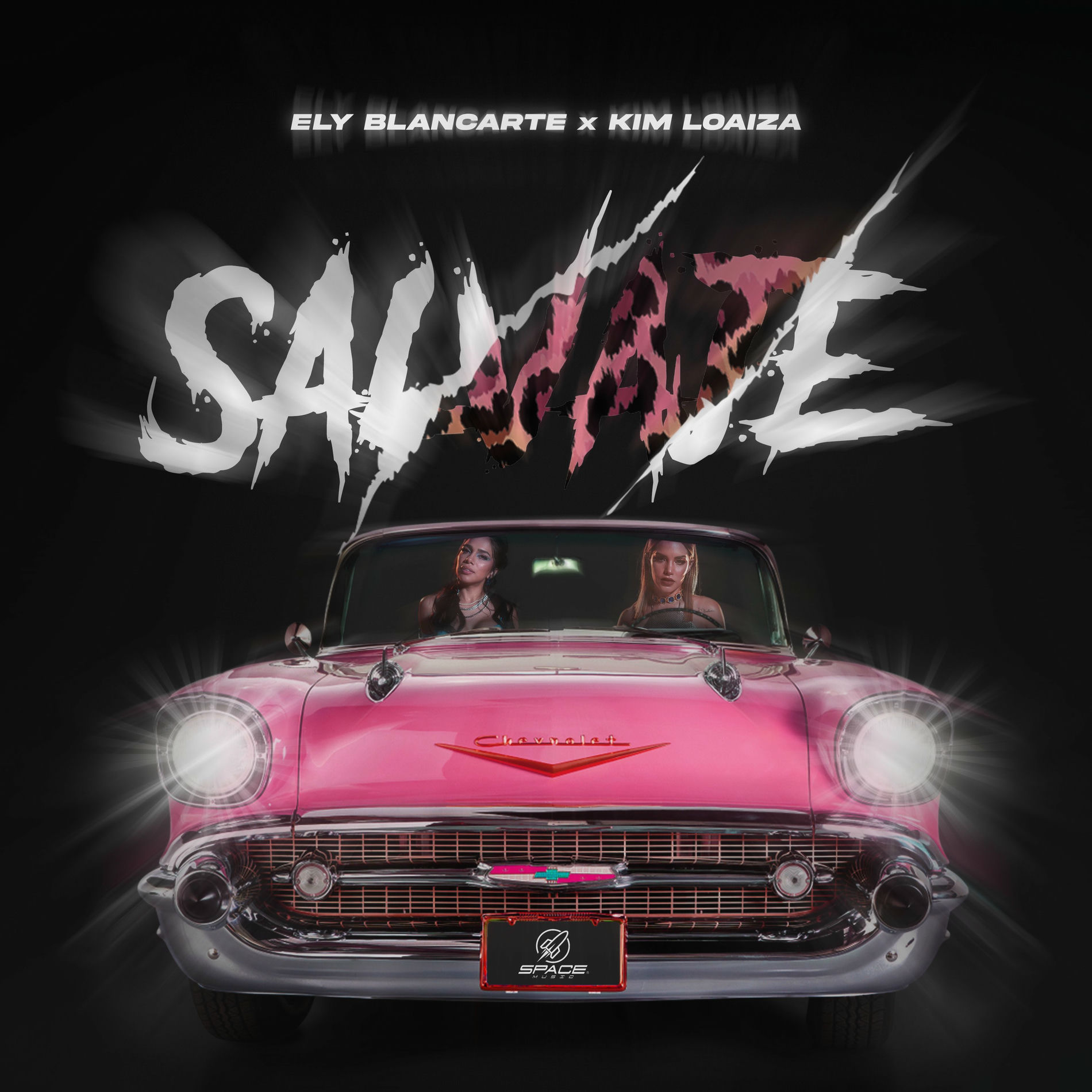 Album cover of Salvaje