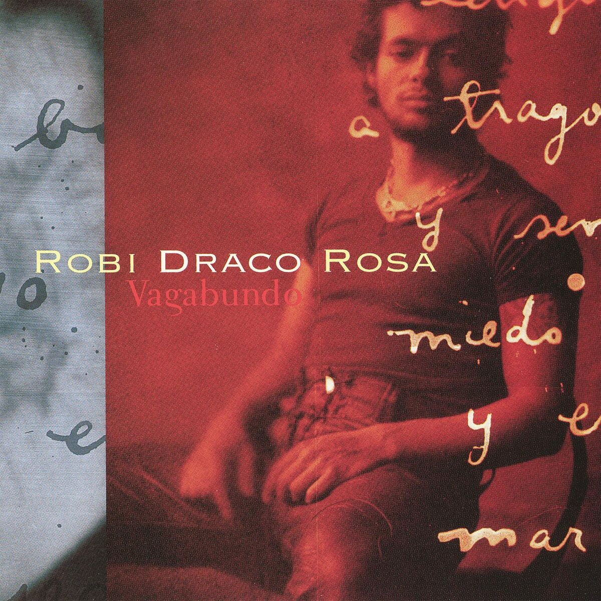 Album cover of Vagabundo